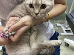 -PETKIT小佩宠物·低压洗护(国顺东路店)