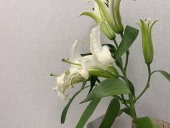 -梵茜儿·头道汤养生馆