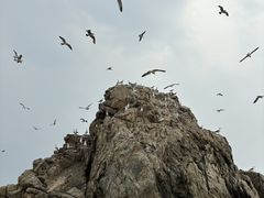 -兴城海滨风景区