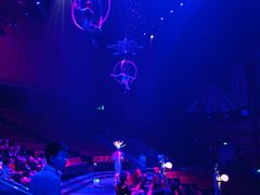 -珠海横琴长隆《卡卡虎奇遇记》