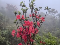 -广东天露山旅游度假区