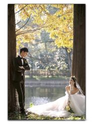 点击看大图 -巴黎春天婚纱摄影STUDIO·定制