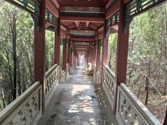 -龙口南山旅游景区