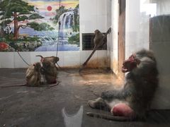 -西安秦岭野生动物园