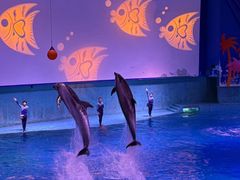 -南昌融创海世界