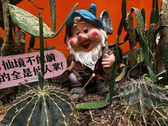 -正佳雨林生态植物园