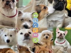 -和它·交个朋友·狗咖猫咖(爱琴海店)