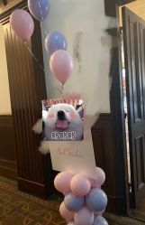 -漾·YOUNG高端派对策划·宝宝宴·求婚·生日·公司庆典布置上海站