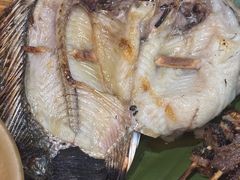 -杨合林啊兰烤鱼