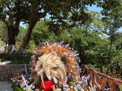 -云丘山景区