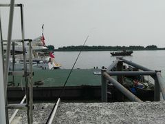 -大湾区中央湿地公园