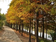 android_upload_pic-新江湾城公园