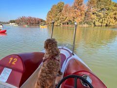 -上海海湾国家森林公园