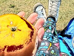 -苏州河梦清园环保主题公园