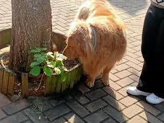 -白沙门生态公园