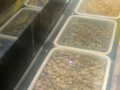 水产区-小俩口烧烤东北菜(双井店)