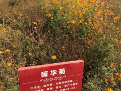 -北京东方普罗旺斯薰衣草庄园