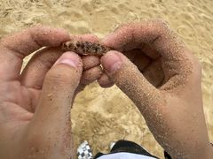 -三亚海棠湾万丽度假酒店