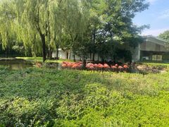 -石家庄市动物园