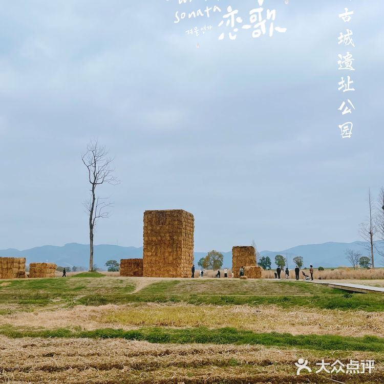 杭州小奈良 | 良渚古城遗址公园