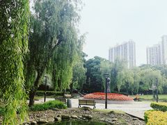 -苏州河梦清园环保主题公园