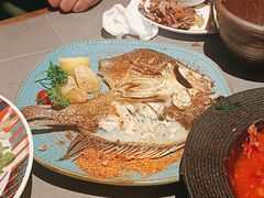 -塔哈尔·新疆盛宴(奉贤龙湖店)