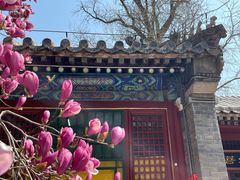 -潭柘寺景区