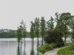 -飞来湖湿地公园