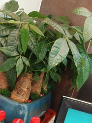 -LJOY丽锦造型·烫发染发