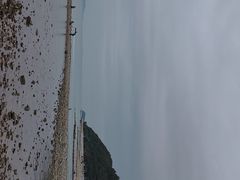 -杨梅坑