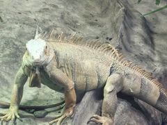 -上海昆虫博物馆