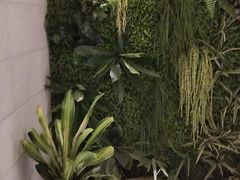 -御圣弛(红豆广场店)