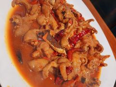 -红辣椒八爪鱼特色韩国料理