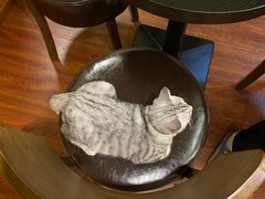 -H立方实景剧情密室(天河旗舰店)