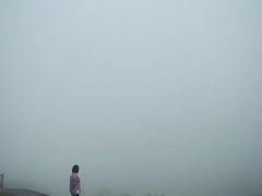 -王顺山国家森林公园