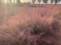 -汉长安城未央宫国家考古遗址公园