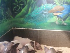 -昆明大悦城未来动物城(螺蛳湾中心店)