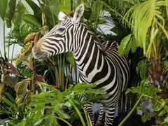 -中国天府农业博览园