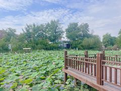 -茯茶镇