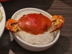 -胖哥俩肉蟹煲(石家庄勒泰中心店)