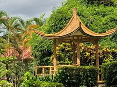 -大屏嶂森林公园