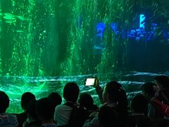 -海合安成都极地海洋公园