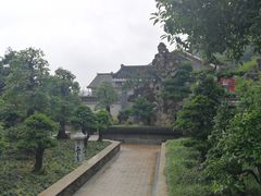 -老幺泉水鸡