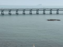 -星海湾跨海大桥