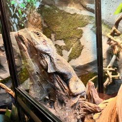 -Zoolung Zoolung动物主题公园(海信广场店)