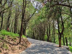 -泰山风景名胜区-普照寺