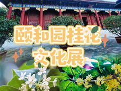 -颐和园