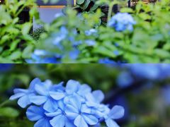 -转山咖啡(松柏社区店)