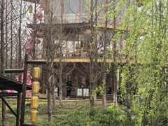 -长田漾湿地公园