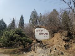 -白水寺森林公园
